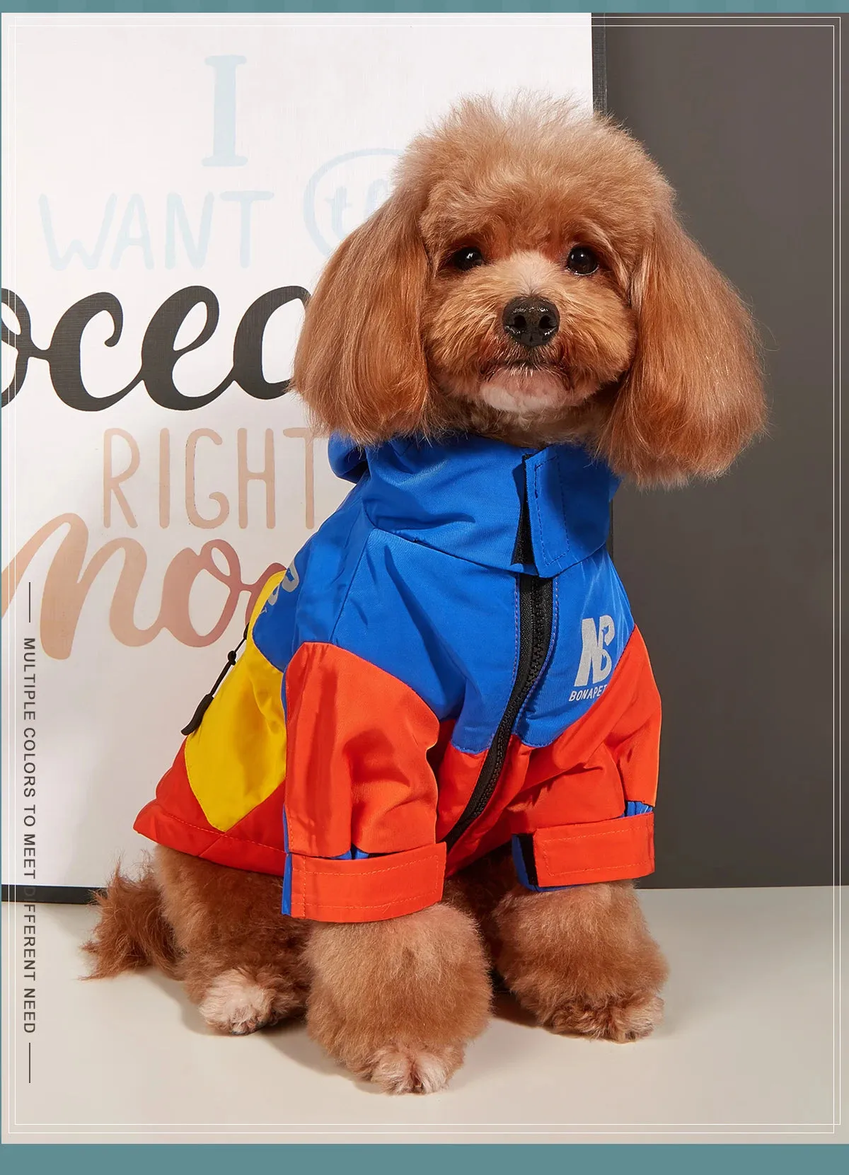 Cozy Dog Sweaters for Winter Fun