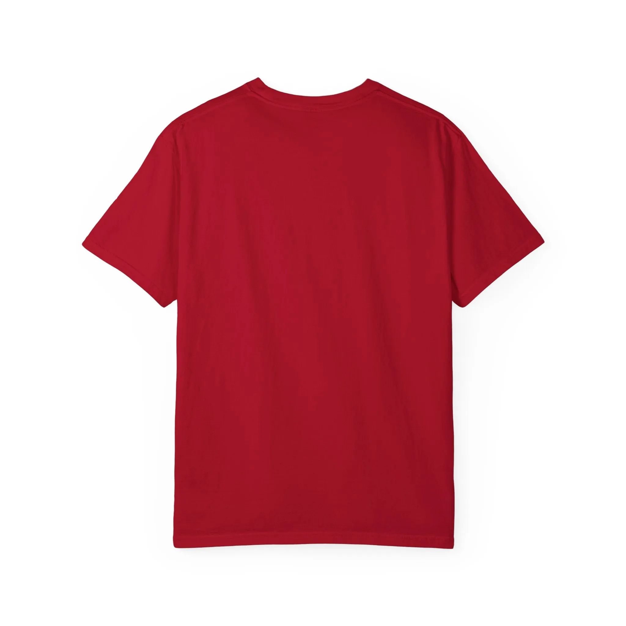 Pitbull Music T-shirt